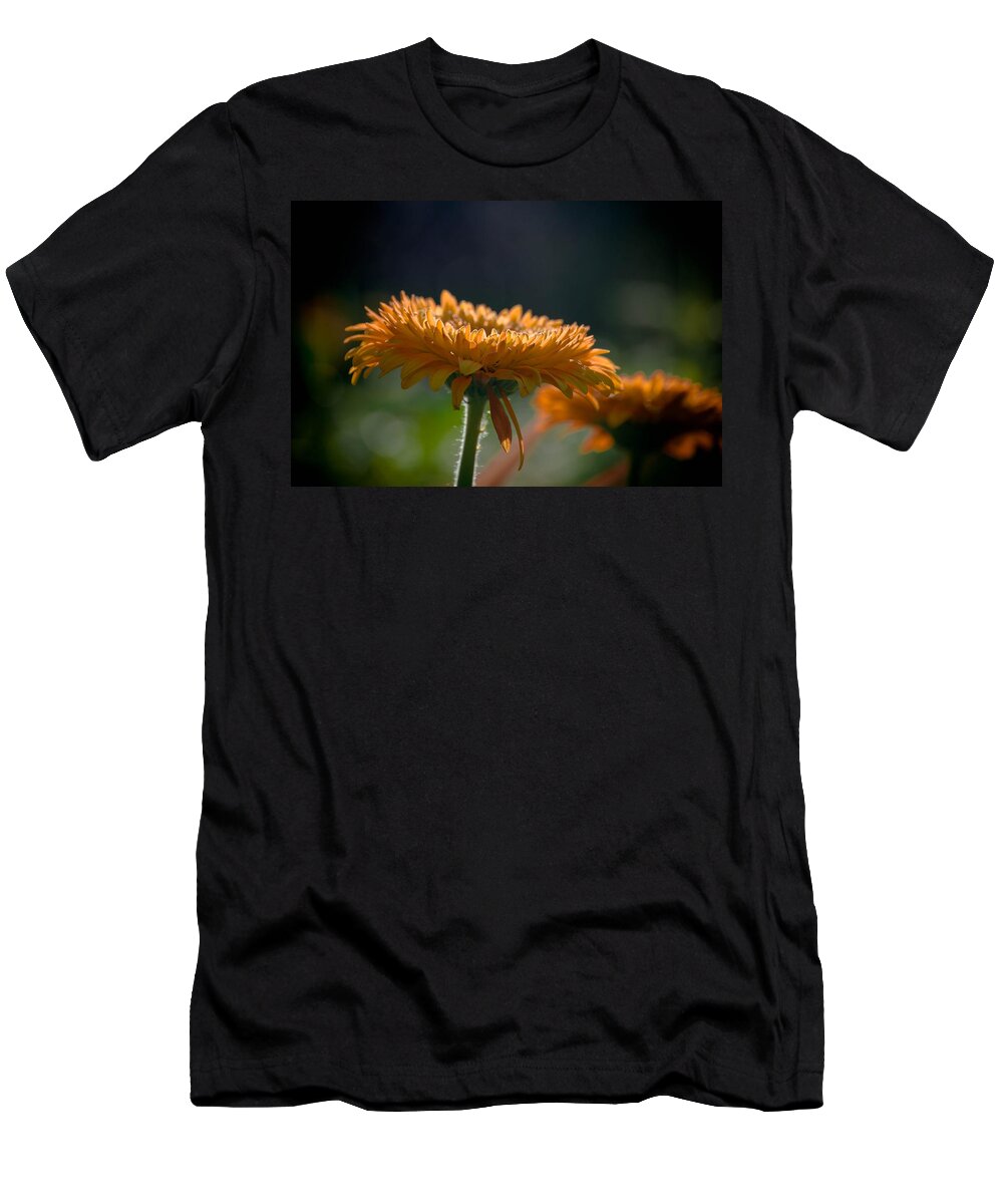 Flower T-Shirt featuring the photograph Sunday Morning by Trish Tritz