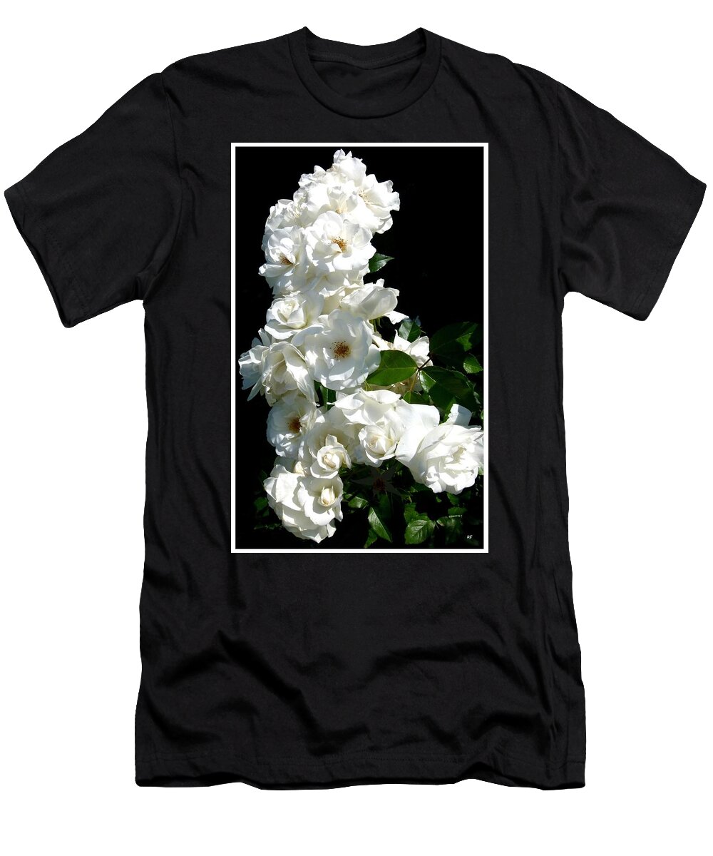 Iceberg Roses T-Shirt featuring the photograph Sunlit Iceberg Roses by Will Borden