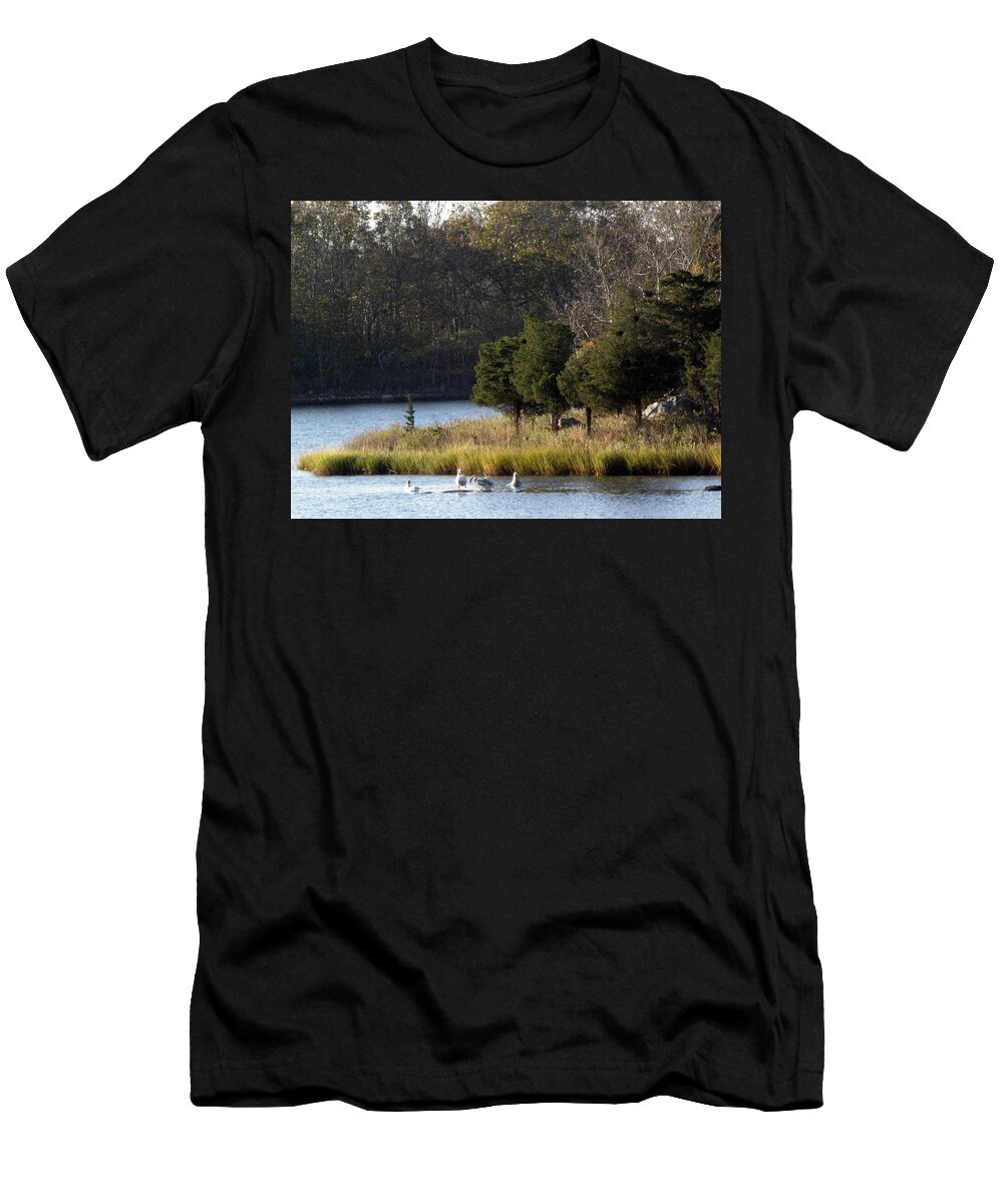 Swans T-Shirt featuring the photograph Swan Scenery by Kim Galluzzo Wozniak