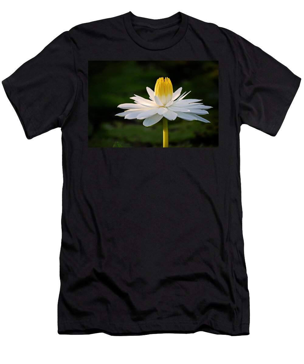 Flower T-Shirt featuring the photograph The Beauty of Nature by Melanie Moraga