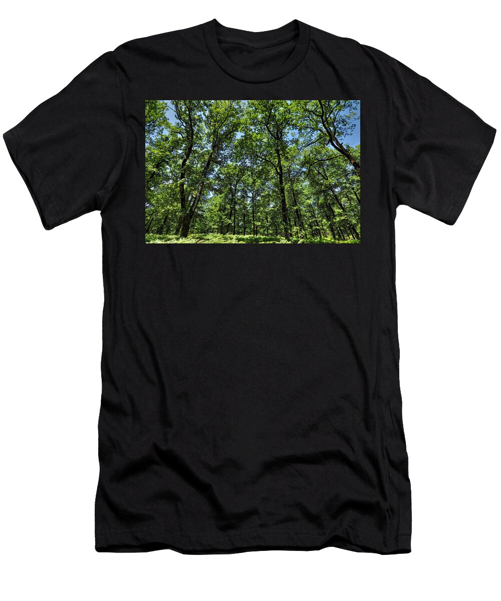 Background T-Shirt featuring the photograph The forest of Foloi - Greece by Constantinos Iliopoulos