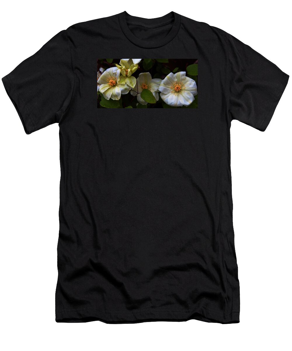 Flower T-Shirt featuring the photograph Three Clematis more by John Stuart Webbstock