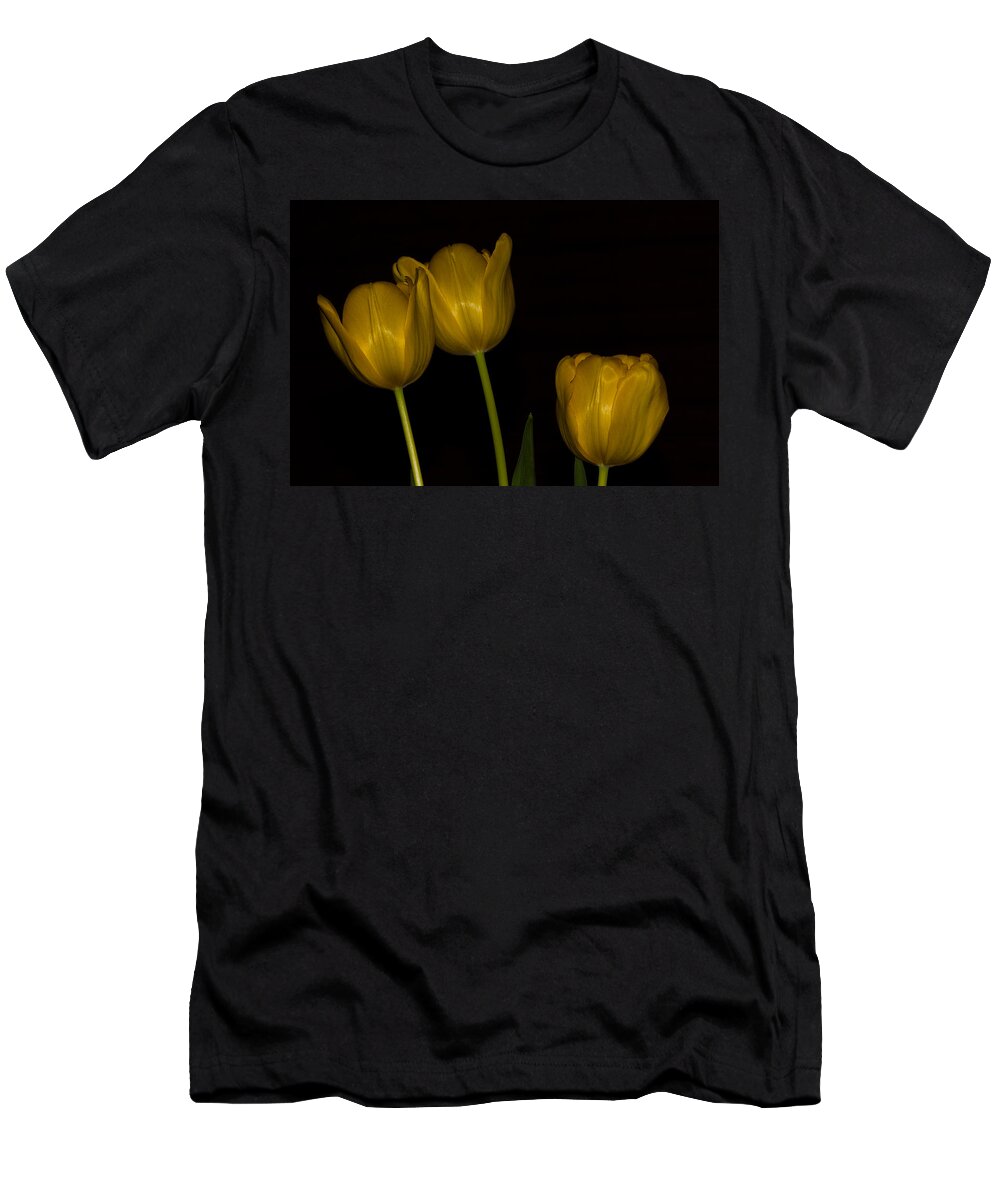 Flowers T-Shirt featuring the photograph Three Tulips by Ed Gleichman