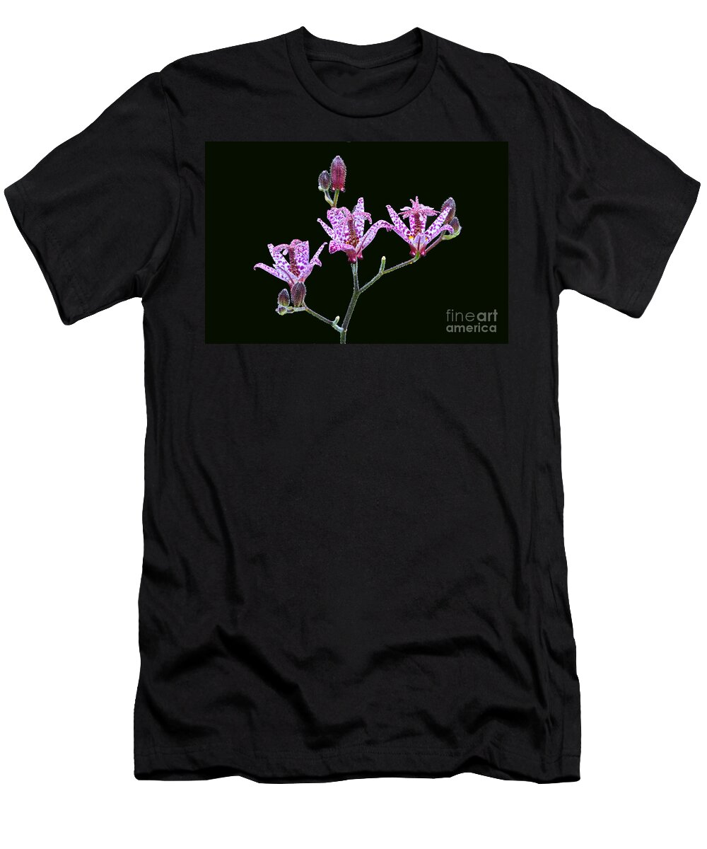 Toad Lily T-Shirt featuring the photograph Toad Lilies by Byron Varvarigos
