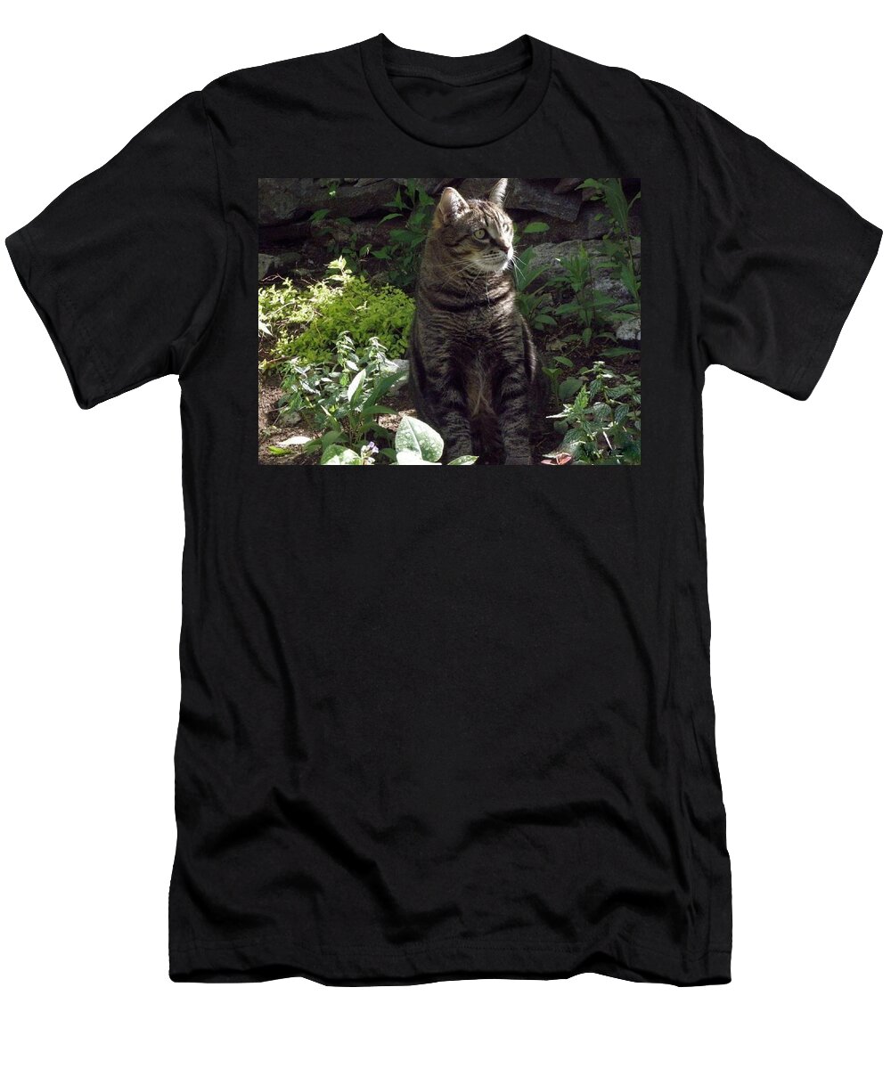 Cat T-Shirt featuring the photograph Trance by Kim Galluzzo
