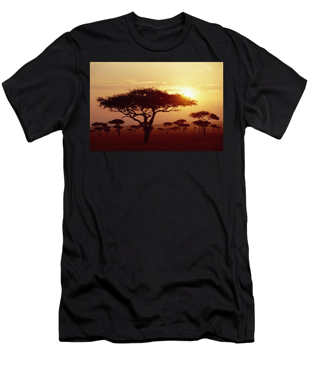 Mp T-Shirt featuring the photograph Umbrella Thorn Acacia Tortilis Trees by Gerry Ellis
