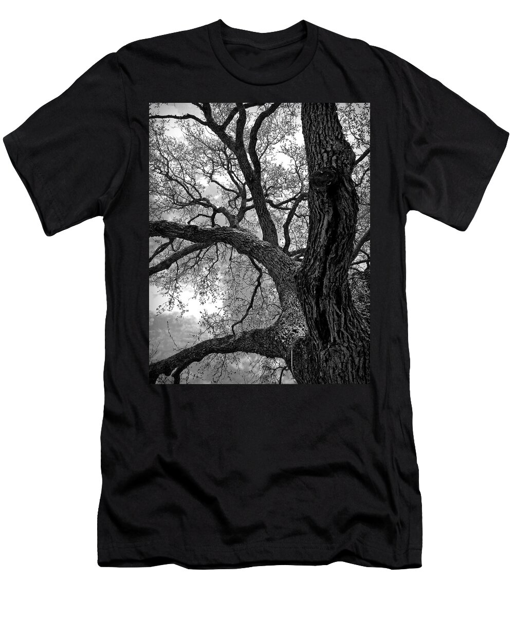 Abstract T-Shirt featuring the photograph Up Tree by Sean Wray