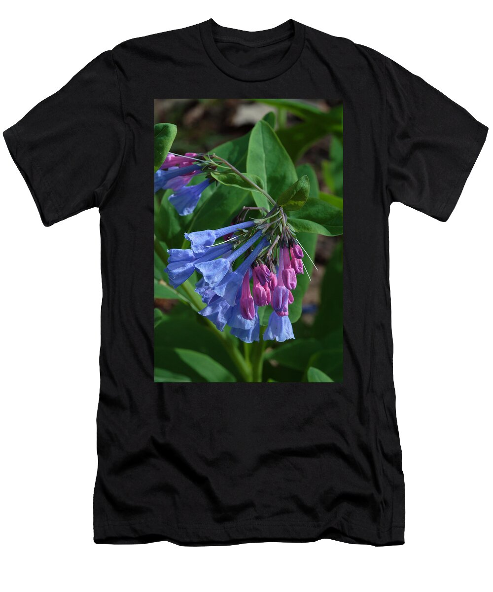 Flower T-Shirt featuring the photograph Virginia Bluebells by Daniel Reed
