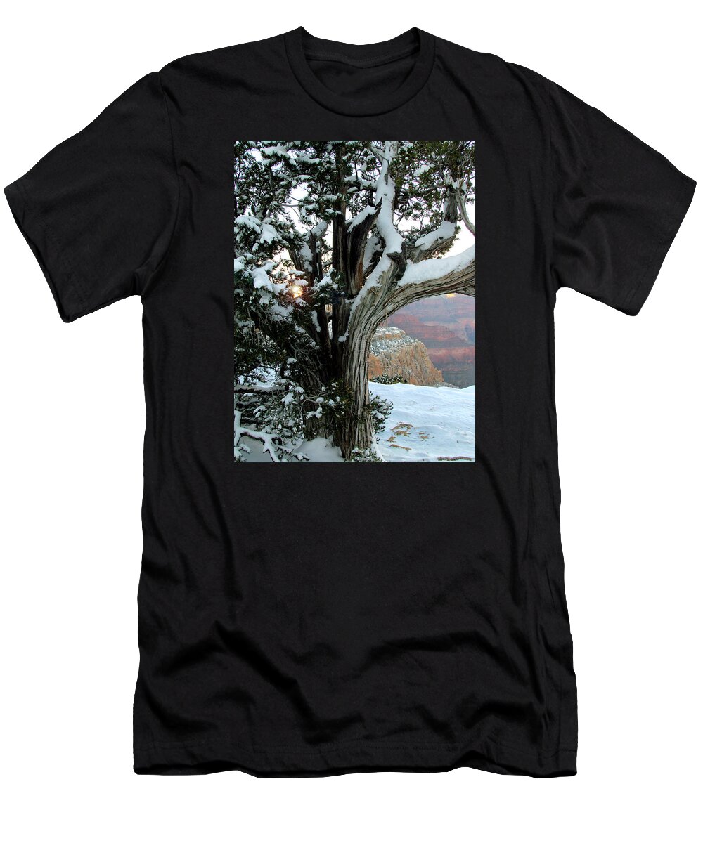 Grand Canyon T-Shirt featuring the photograph Weather Worn by Judy Wanamaker