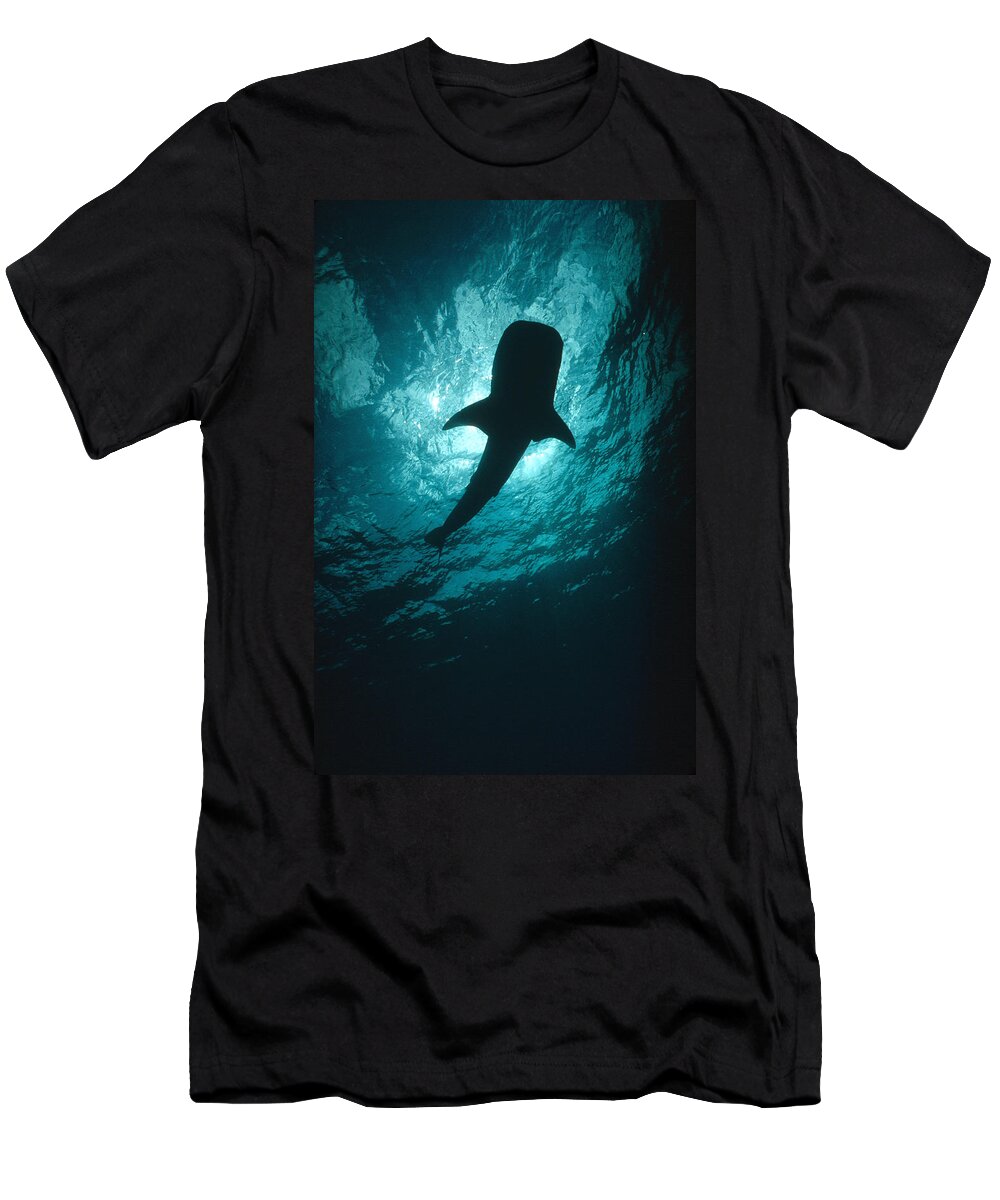00106485 T-Shirt featuring the photograph Whale Shark Silhouette Cocos Island by Flip Nicklin