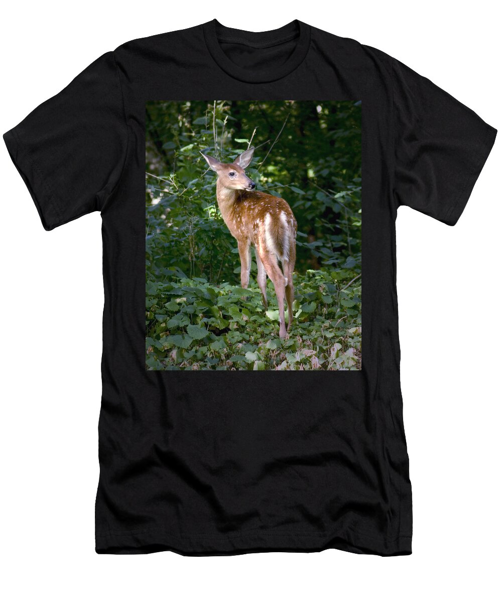 Whitetail Deer Fawn Young Bambi Mammal Looking Back Behind Folia T-Shirt featuring the photograph Whitetail Deer Fawn by Randall Nyhof