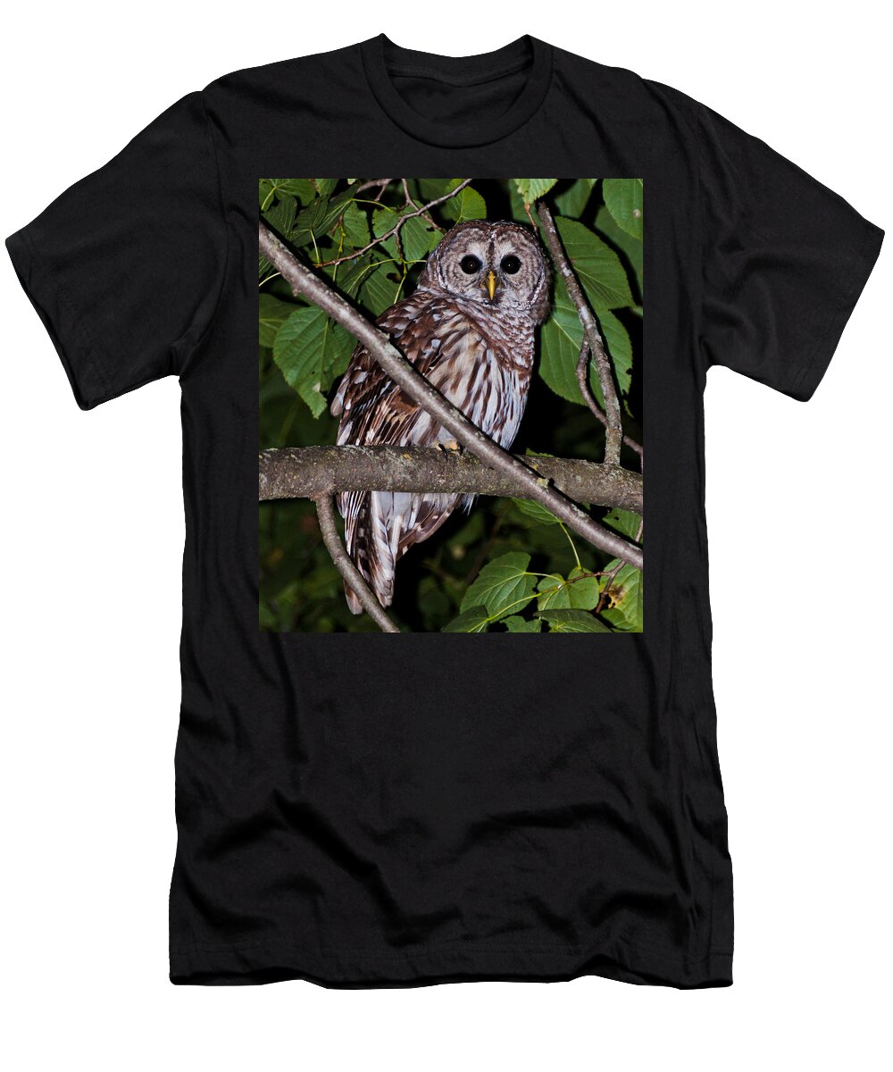 Owl T-Shirt featuring the photograph Who Are You by Cheryl Baxter