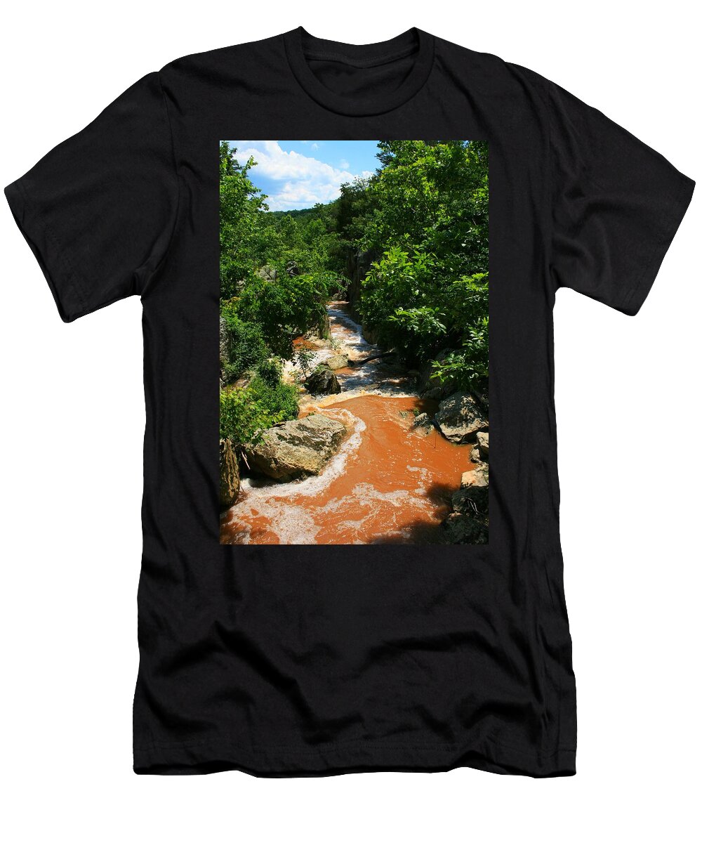 Nature T-Shirt featuring the photograph Wonka's Wonder by Phil Cappiali Jr