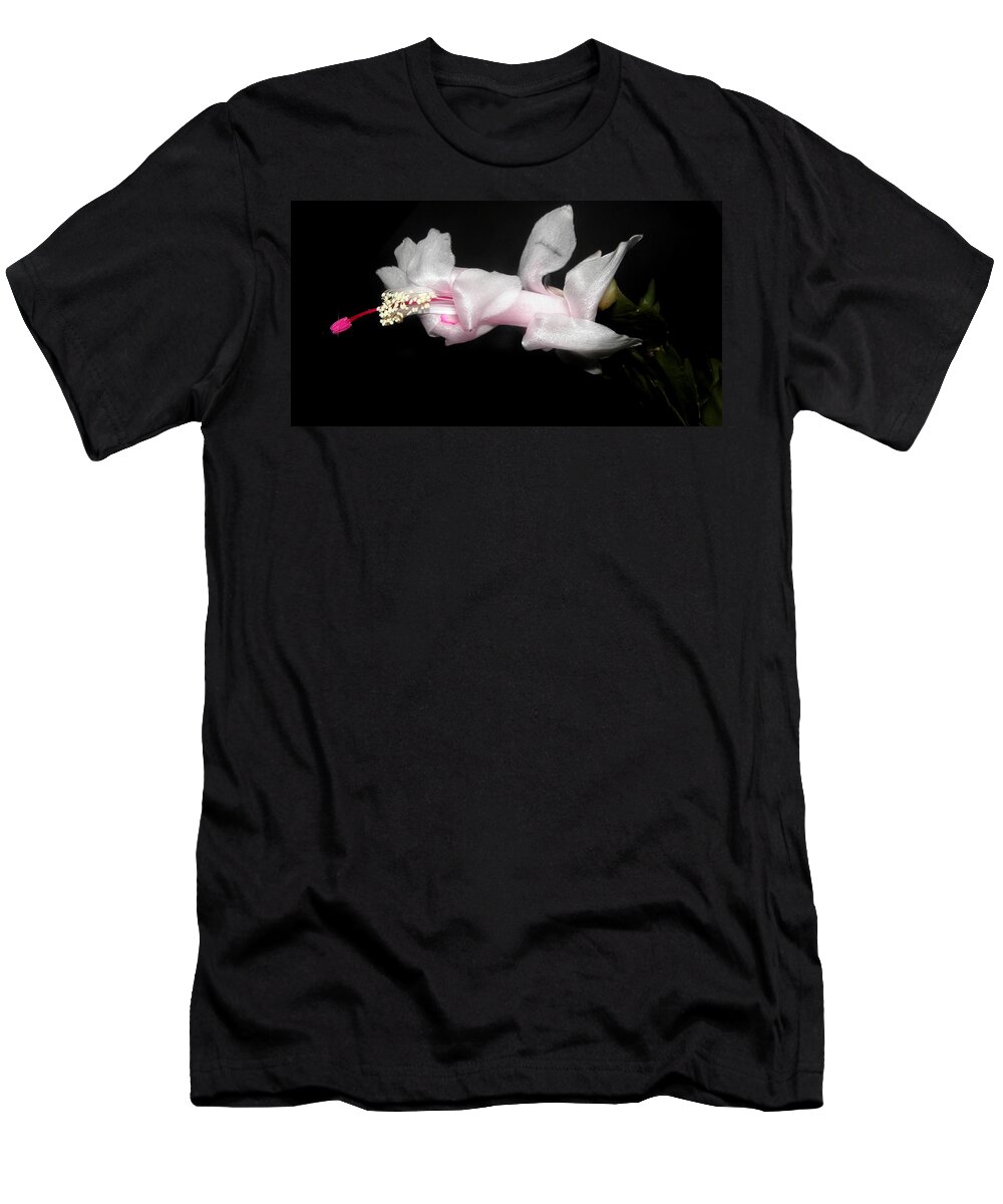 Xmas T-Shirt featuring the photograph Xmas In Pink by Kim Galluzzo