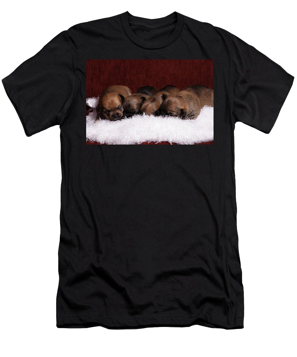 Pup T-Shirt featuring the photograph Never Long Enough by Monte Arnold