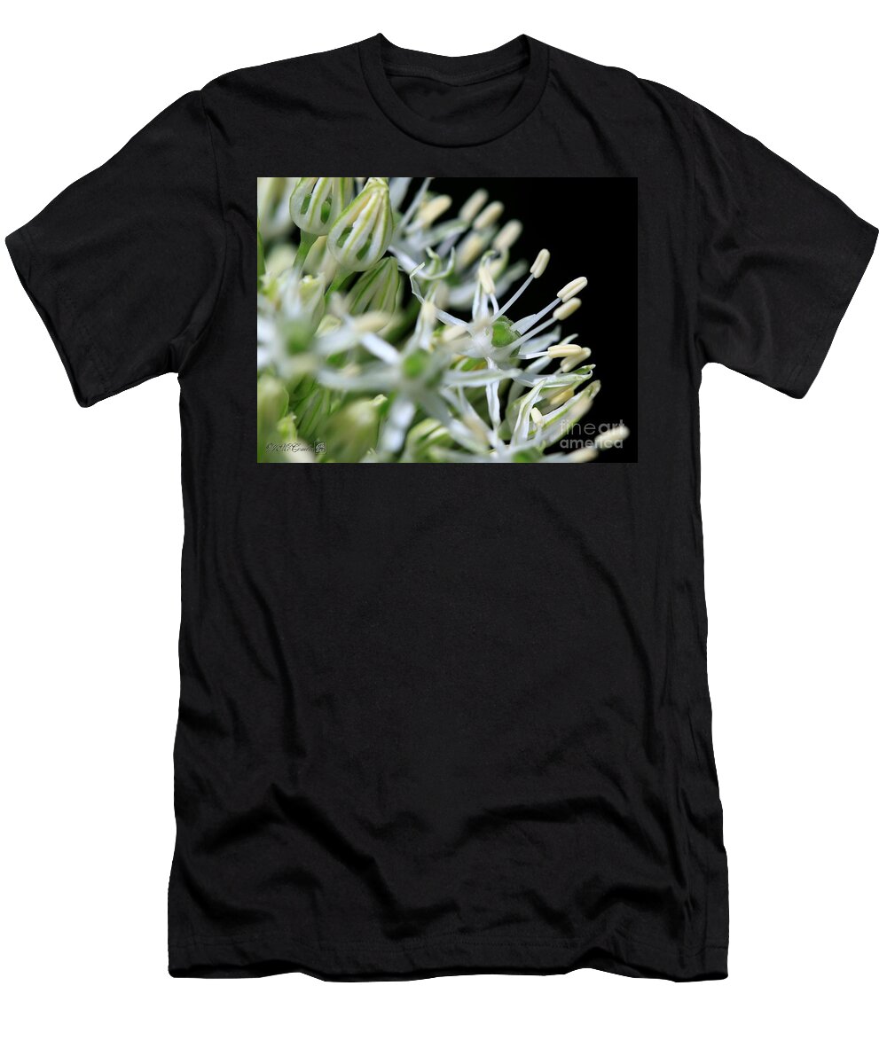 Mccombie T-Shirt featuring the photograph Allium named Mount Everest #4 by J McCombie