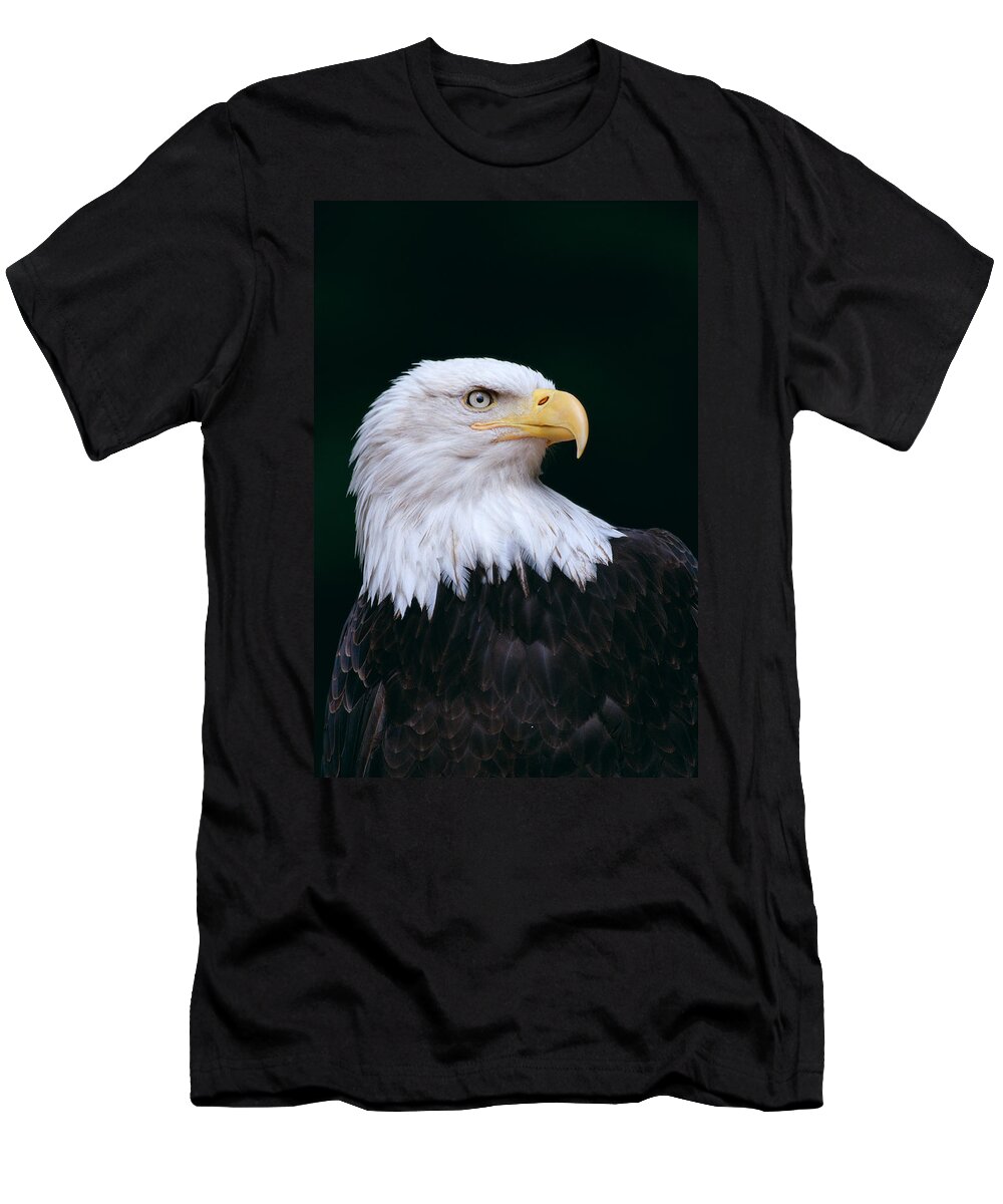 America T-Shirt featuring the photograph Bald Eagle #1 by John Hyde - Printscapes