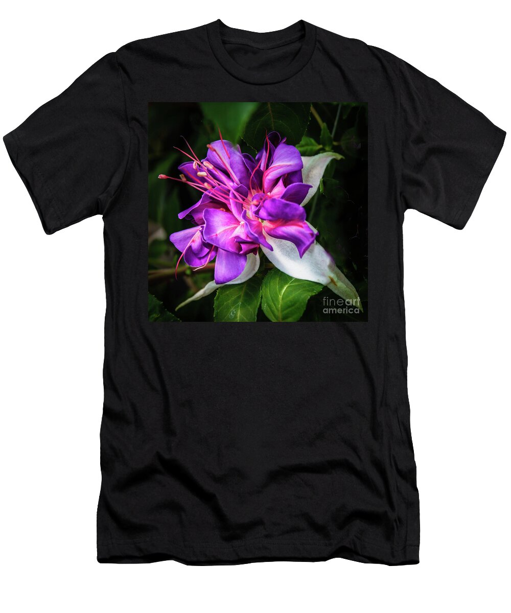 Fuchsia T-Shirt featuring the photograph Beautiful Fuchsia #2 by Robert Bales