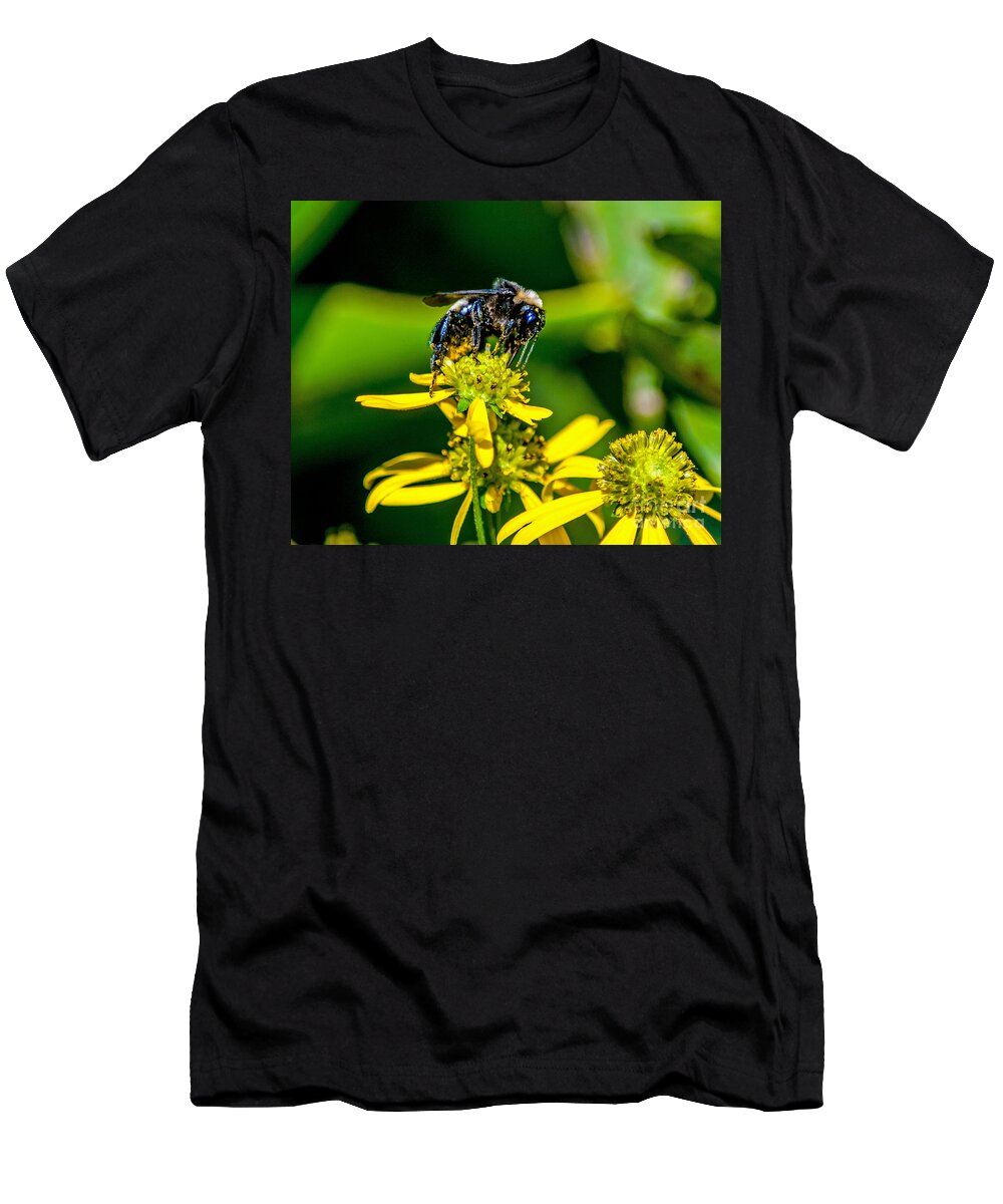 Petals T-Shirt featuring the photograph Bee on Yellow Flower by Stephen Whalen