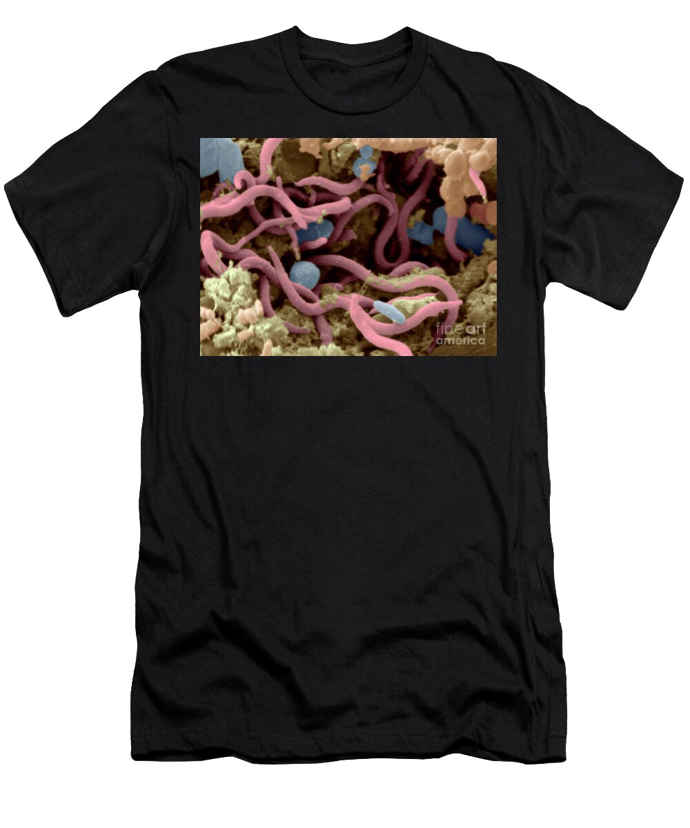 Hens T-Shirt featuring the photograph Chicken Excrement #1 by Scimat