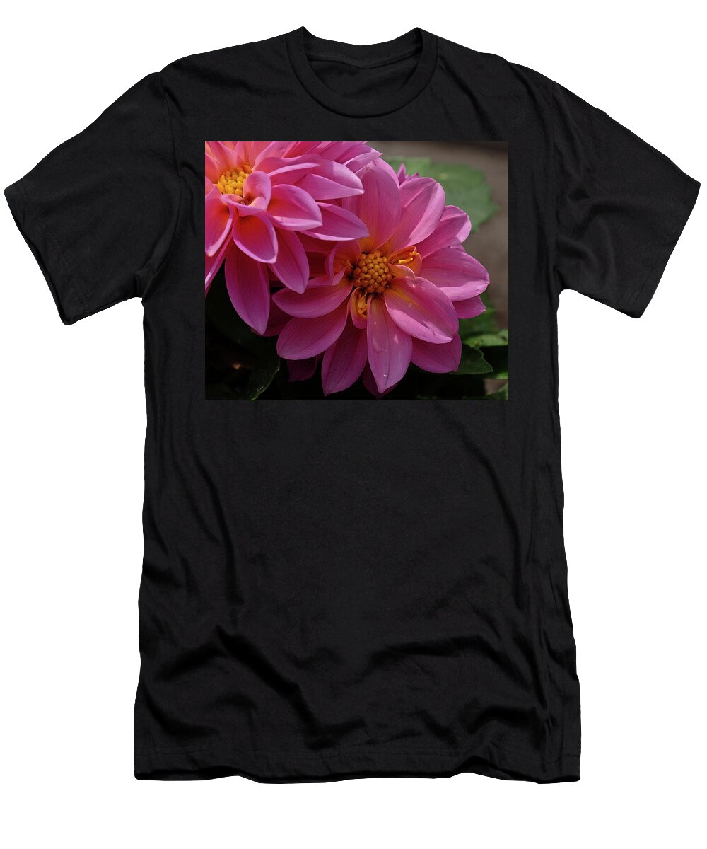 Dahlia Flower T-Shirt featuring the photograph Dahlia beauty #1 by Ronda Ryan