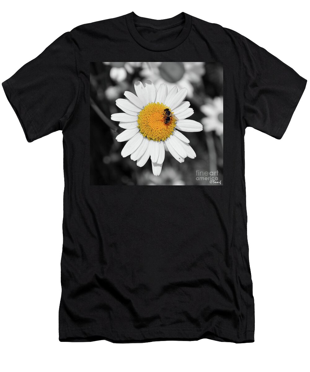 Margherite T-Shirt featuring the photograph Daisy #1 by Ilaria Andreucci
