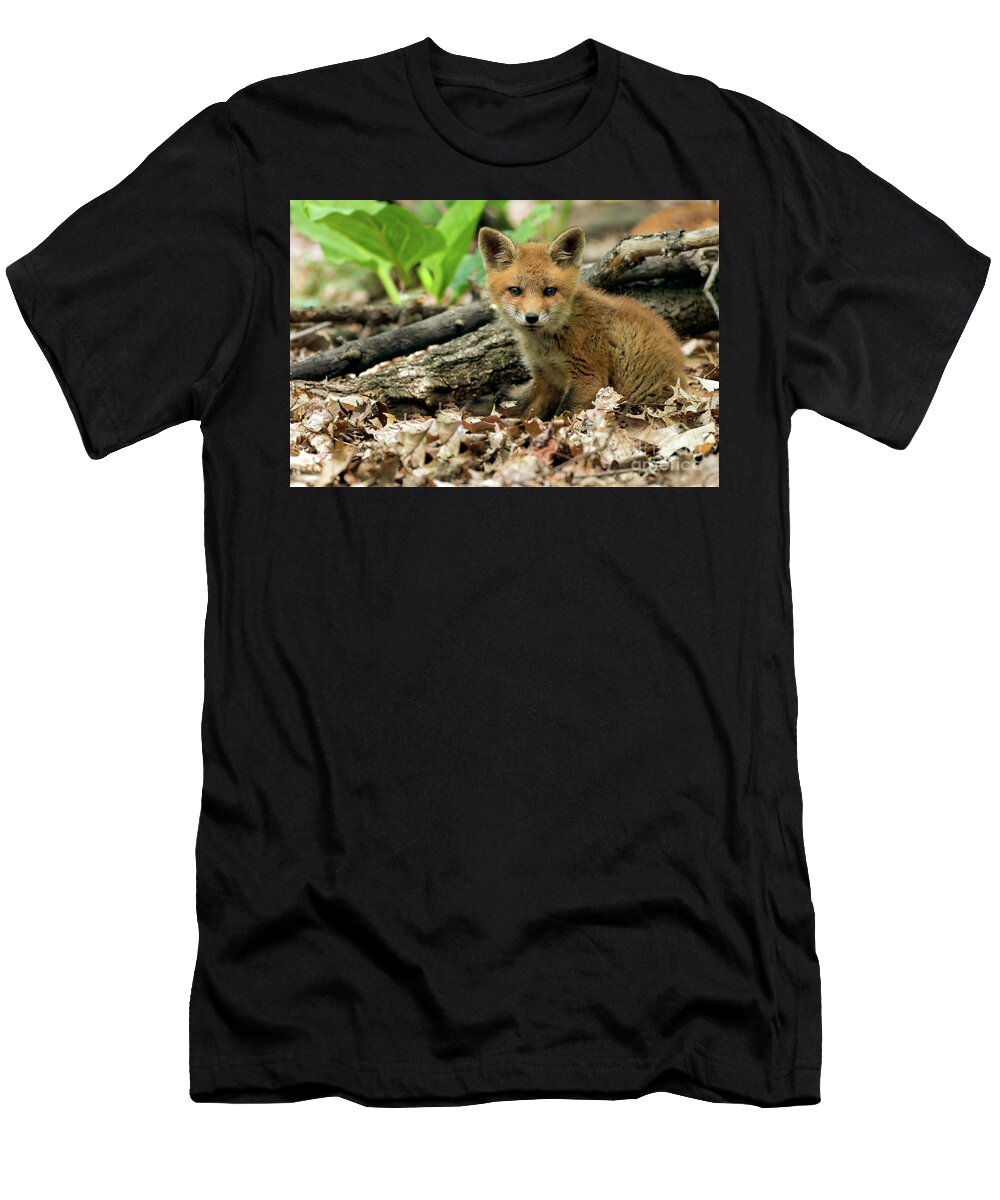Fox T-Shirt featuring the photograph Fox Cub #2 by Sam Rino