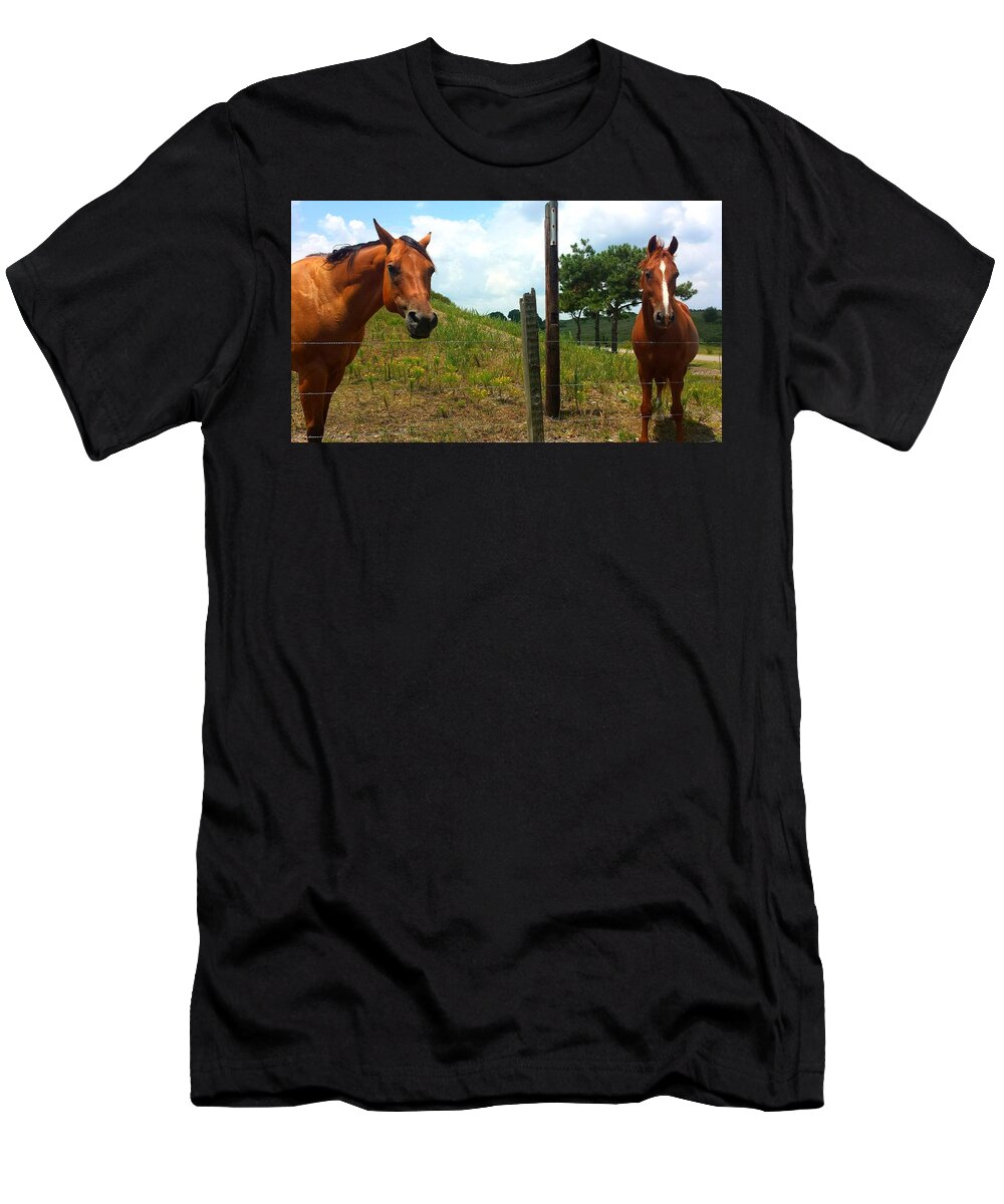 Horse T-Shirt featuring the photograph Friendly Stallions by Kenny Glover