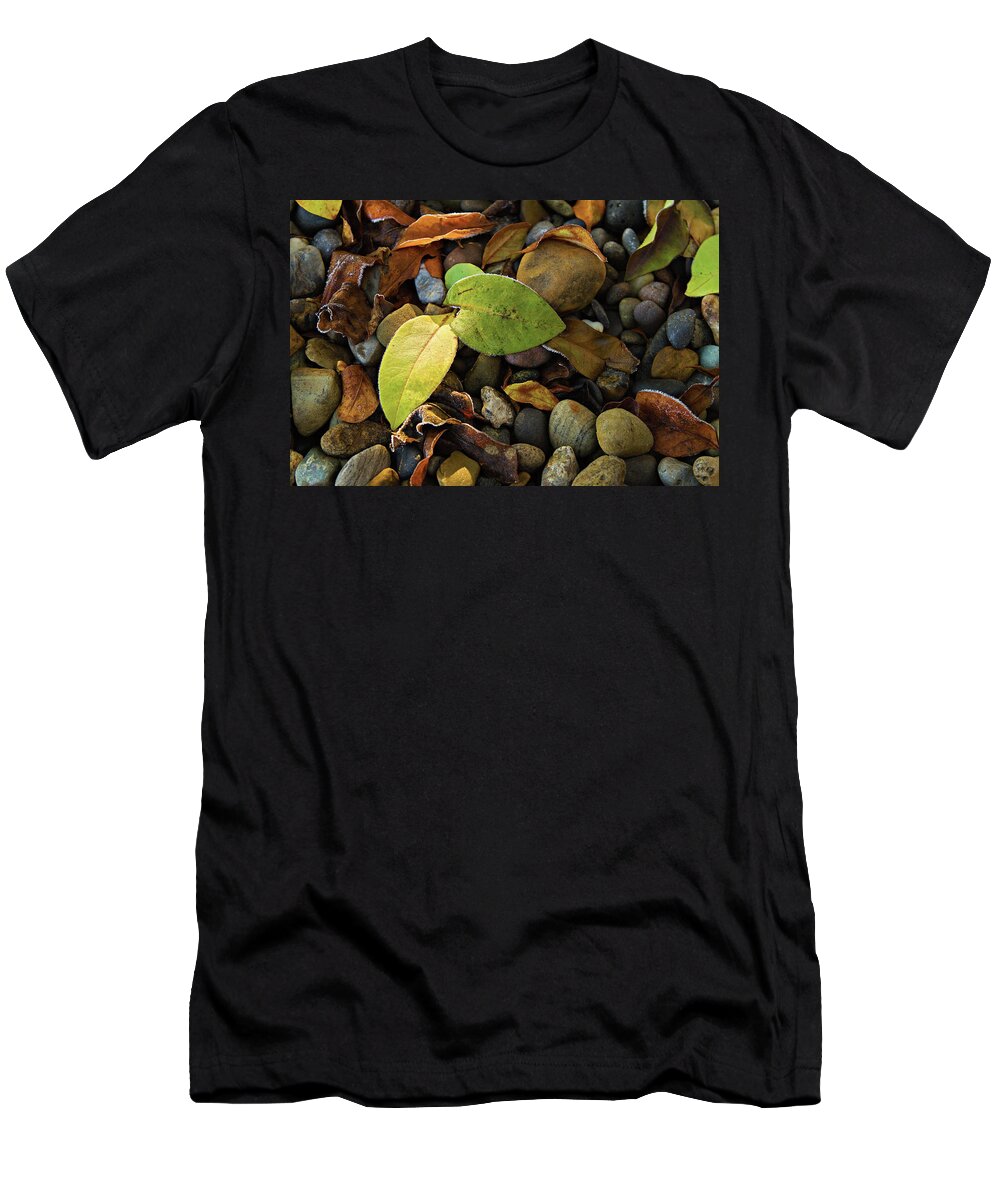 Leaves T-Shirt featuring the photograph Frosty Rocks #1 by Randall Evans