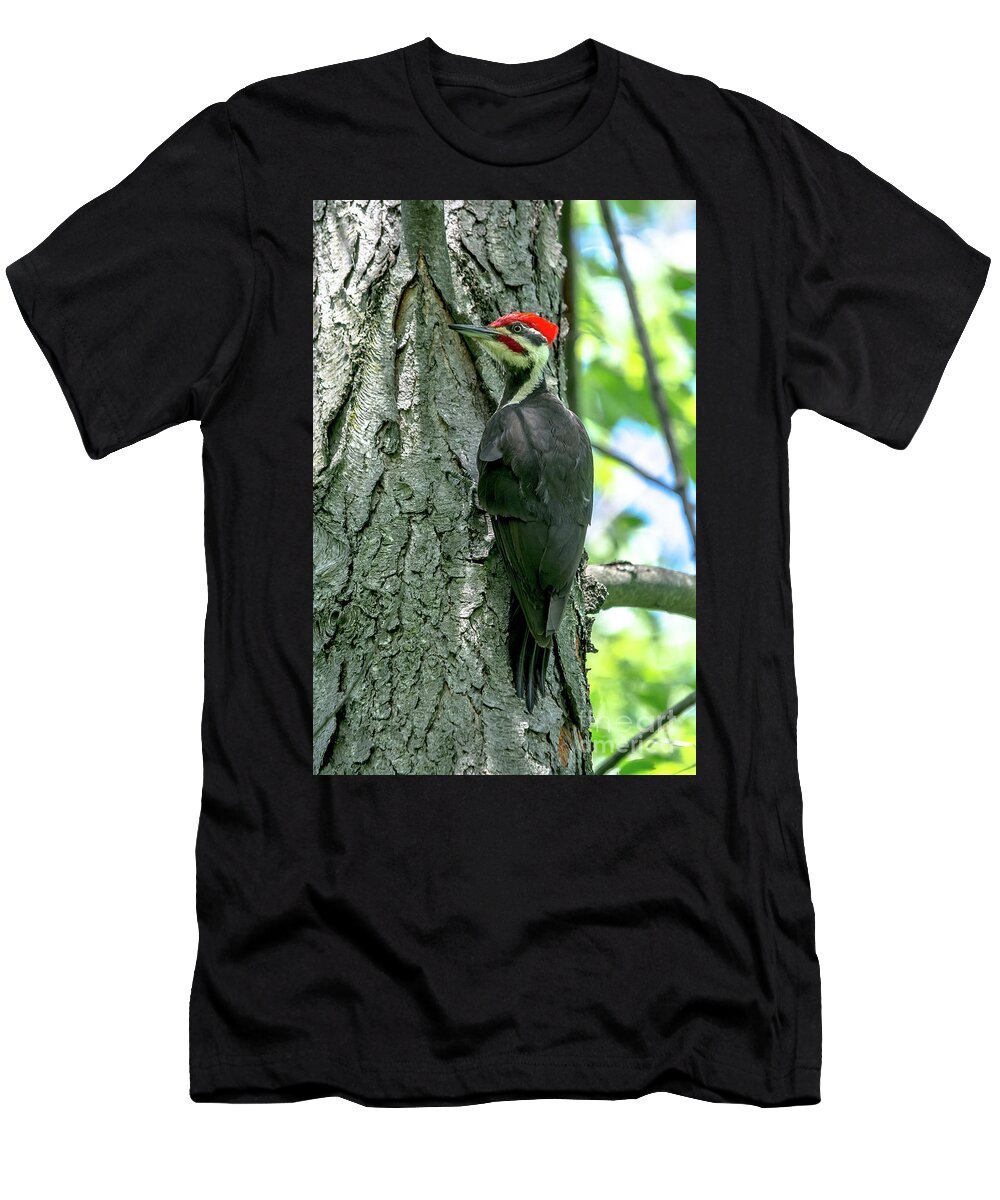 Cheryl Baxter Photography T-Shirt featuring the photograph Mr. Pileated Woodpecker by Cheryl Baxter