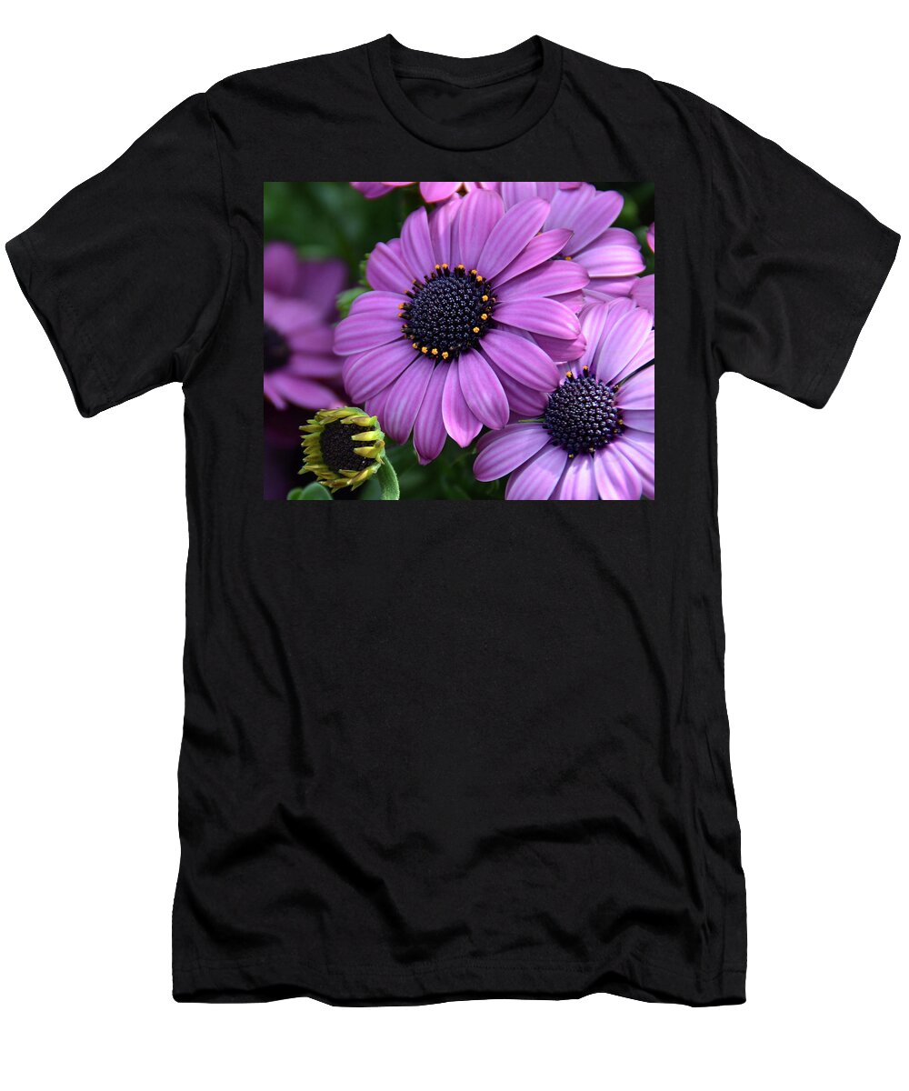 African Daisy T-Shirt featuring the photograph African Daisy by Ronda Ryan
