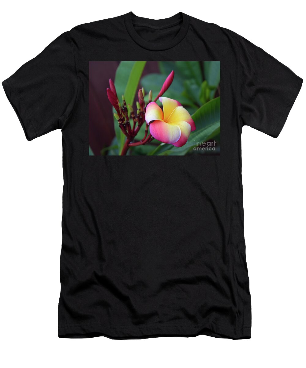 Hao Aiken T-Shirt featuring the photograph Rainbow Plumeria #2 by Hao Aiken