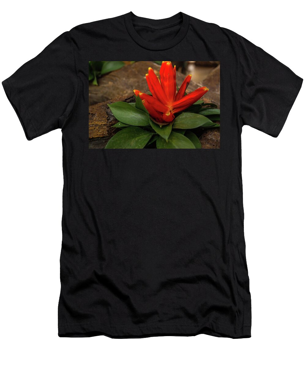 Red T-Shirt featuring the photograph Red Flower #2 by James Gay