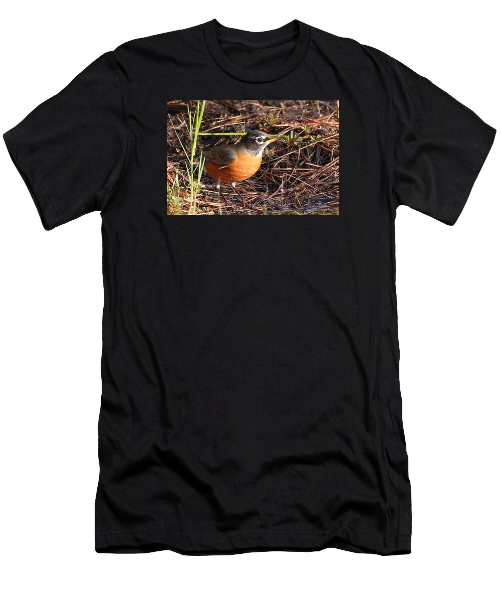 Robin T-Shirt featuring the photograph Robin #1 by Dart Humeston