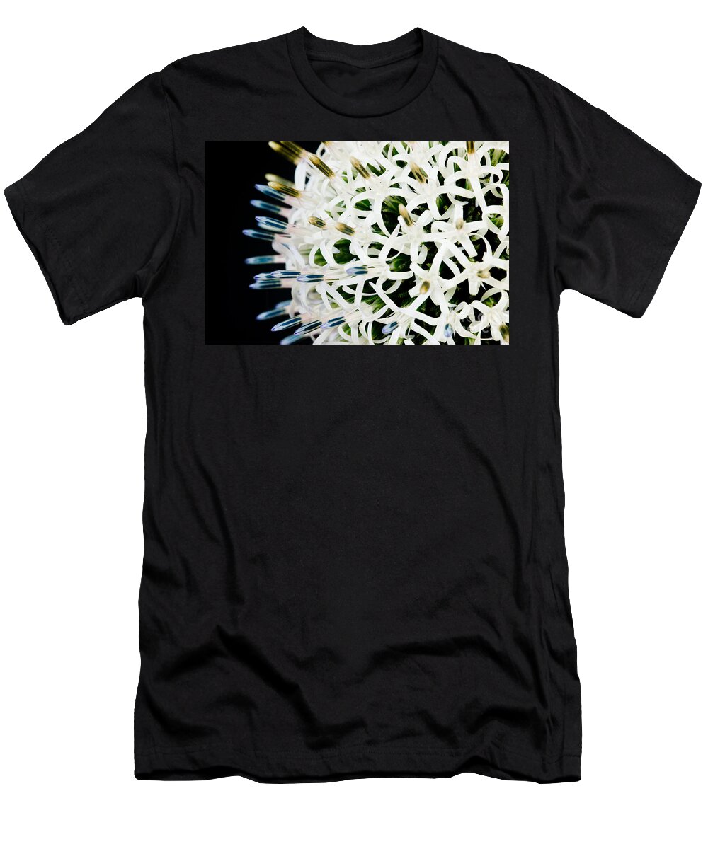Alium T-Shirt featuring the photograph White Alium Onion flower #1 by Colin Rayner