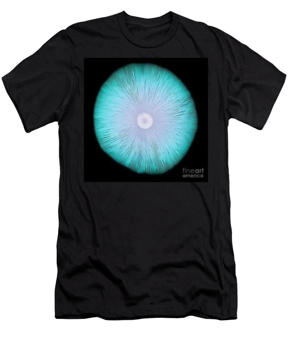 Amanita T-Shirt featuring the photograph X-ray Of A Mushroom #1 by Ted Kinsman