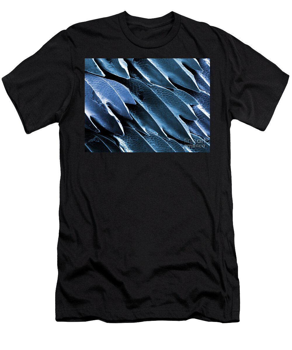 Skin T-Shirt featuring the photograph Shark Skin, Sem #14 by Ted Kinsman