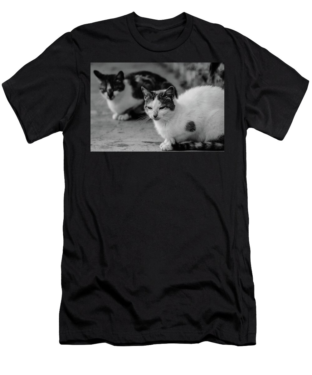 Cat T-Shirt featuring the photograph Cat #188 by Jackie Russo