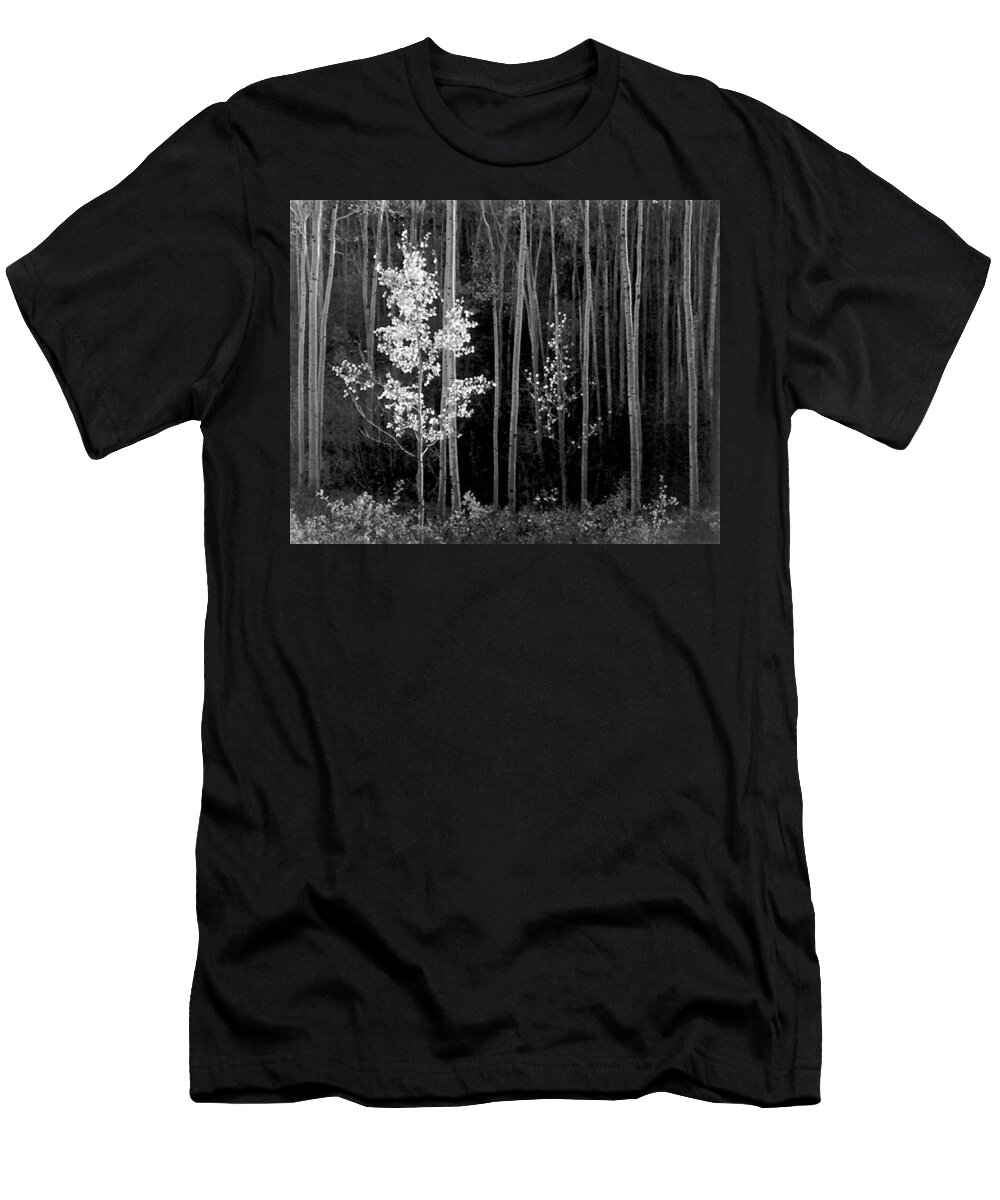 Ansel Adams T-Shirt featuring the photograph Aspens Northern New Mexico #2 by Ansel Adams