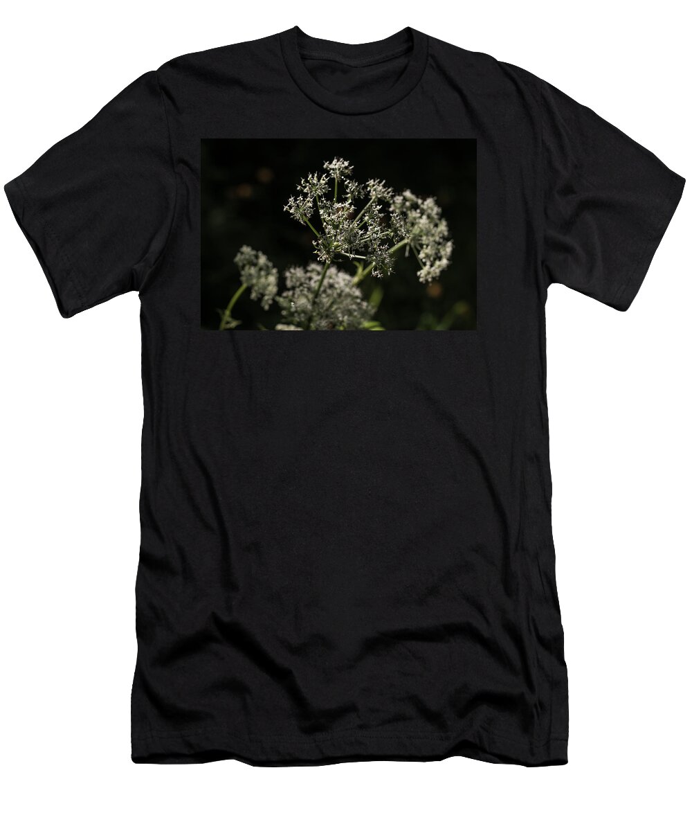 Miguel T-Shirt featuring the photograph Forest Lights #3 by Miguel Winterpacht