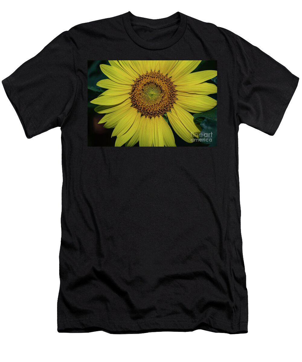 Beshers T-Shirt featuring the photograph Sunflowers in Bloom #3 by Thomas Marchessault
