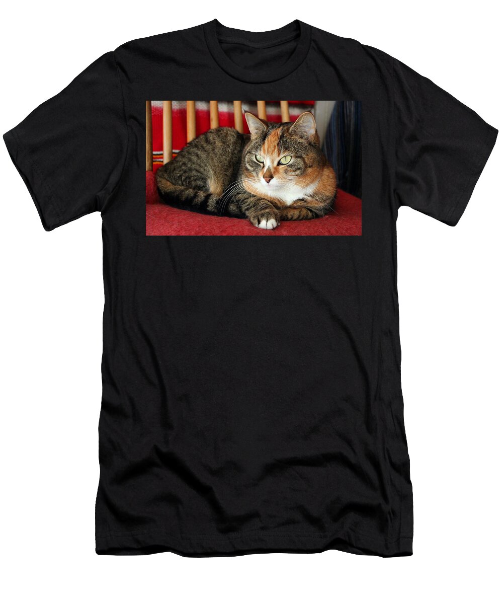 Cat T-Shirt featuring the photograph Cat #201 by Jackie Russo