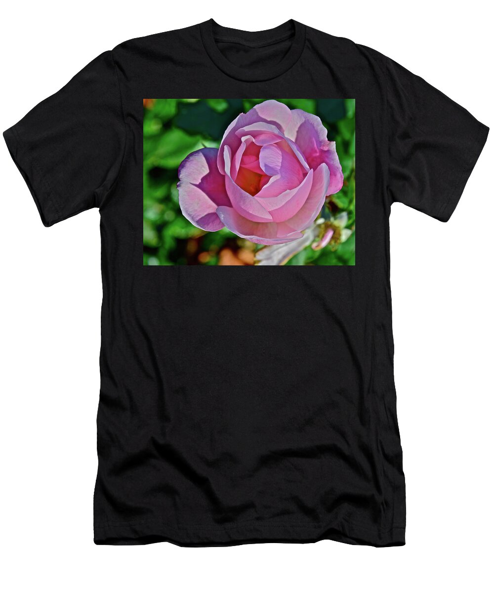 Rose T-Shirt featuring the photograph 2016 Late Blooming Rose 4 by Janis Senungetuk