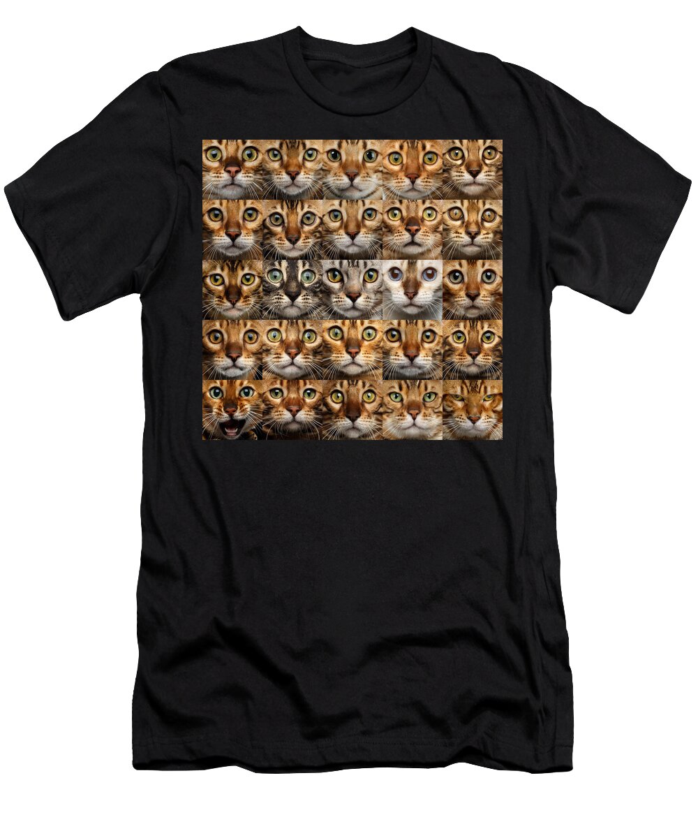 25 T-Shirt featuring the photograph 25 Different Bengal Cat faces by Sergey Taran