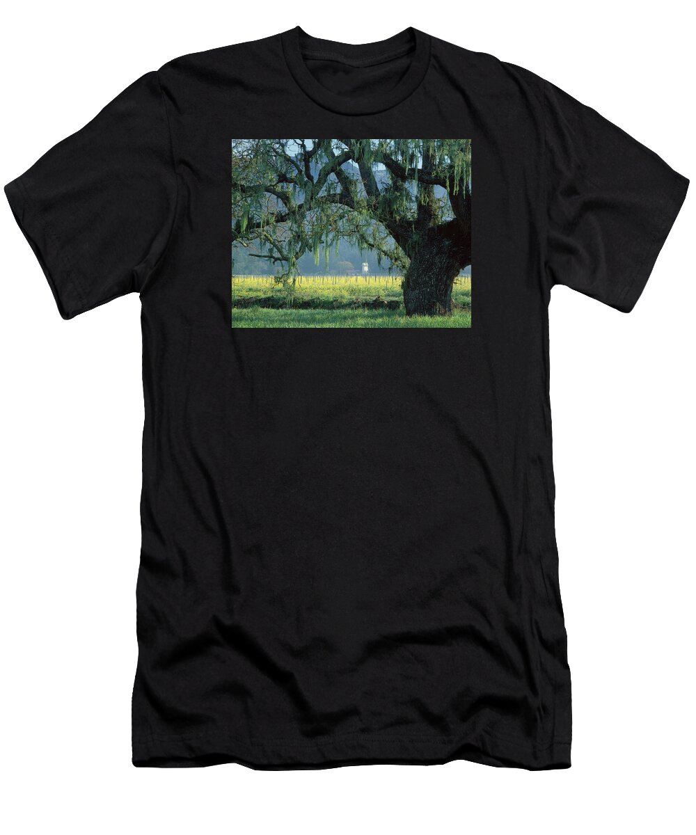 Mustard T-Shirt featuring the photograph 2B6319 Mustard in the Oaks Sonoma Ca by Ed Cooper Photography