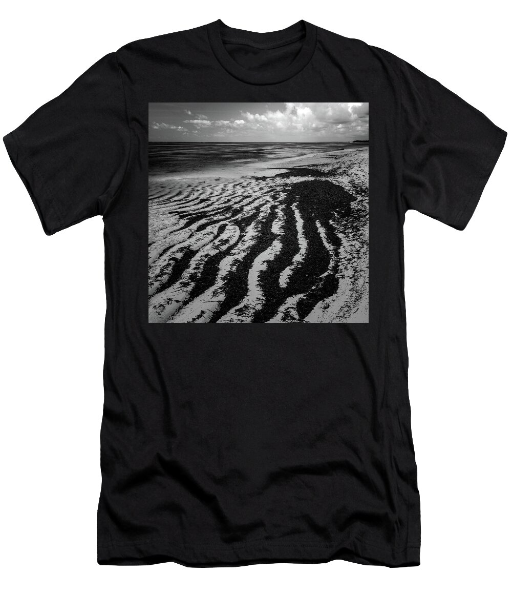 Africa T-Shirt featuring the photograph Dongwe Beach #3 by Dayne Reast