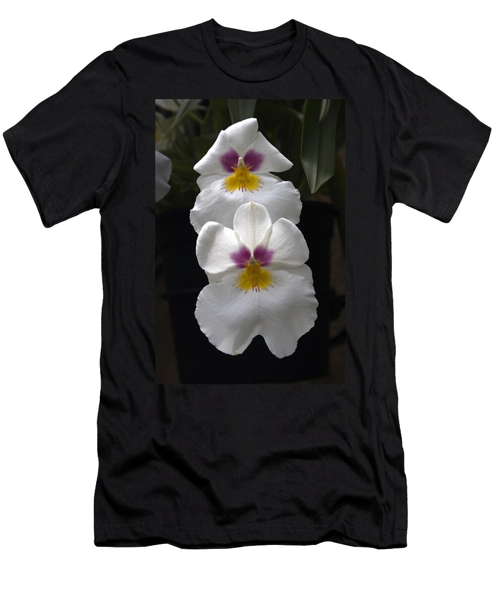 2 White Orchids T-Shirt featuring the photograph White Orchids #3 by Sally Weigand