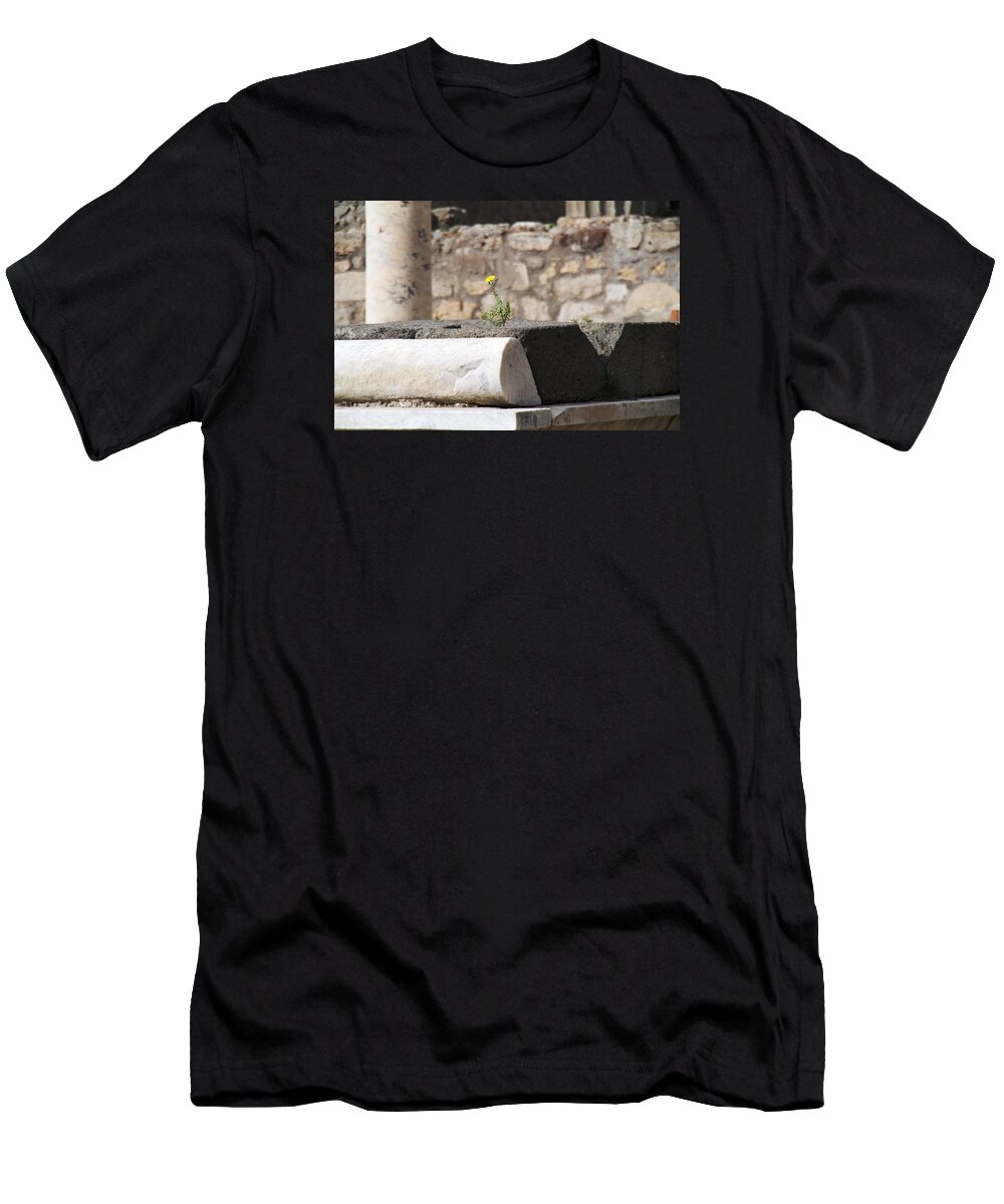 Amalfi Coast T-Shirt featuring the photograph Pompeii #33 by Donn Ingemie