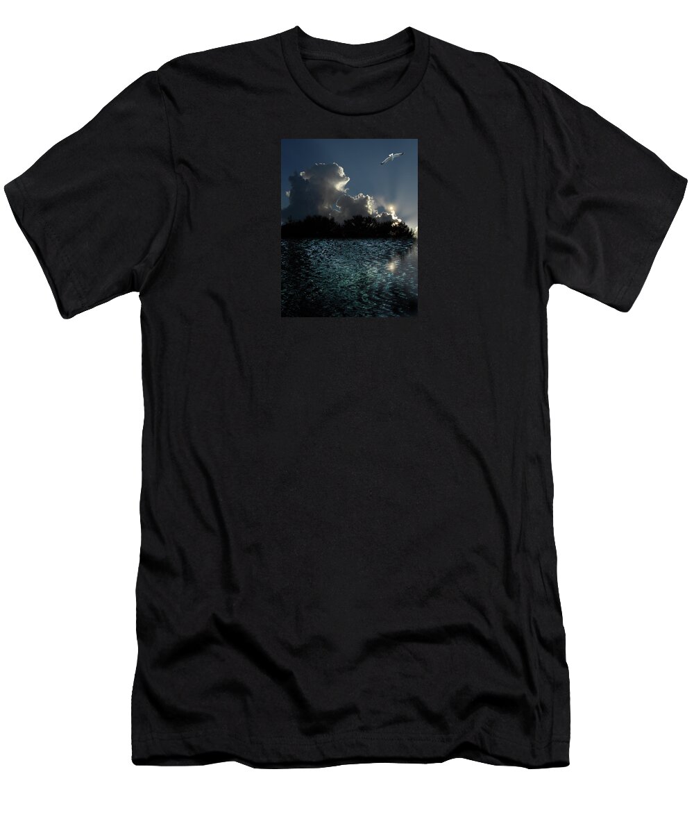 Water T-Shirt featuring the photograph 4377 by Peter Holme III