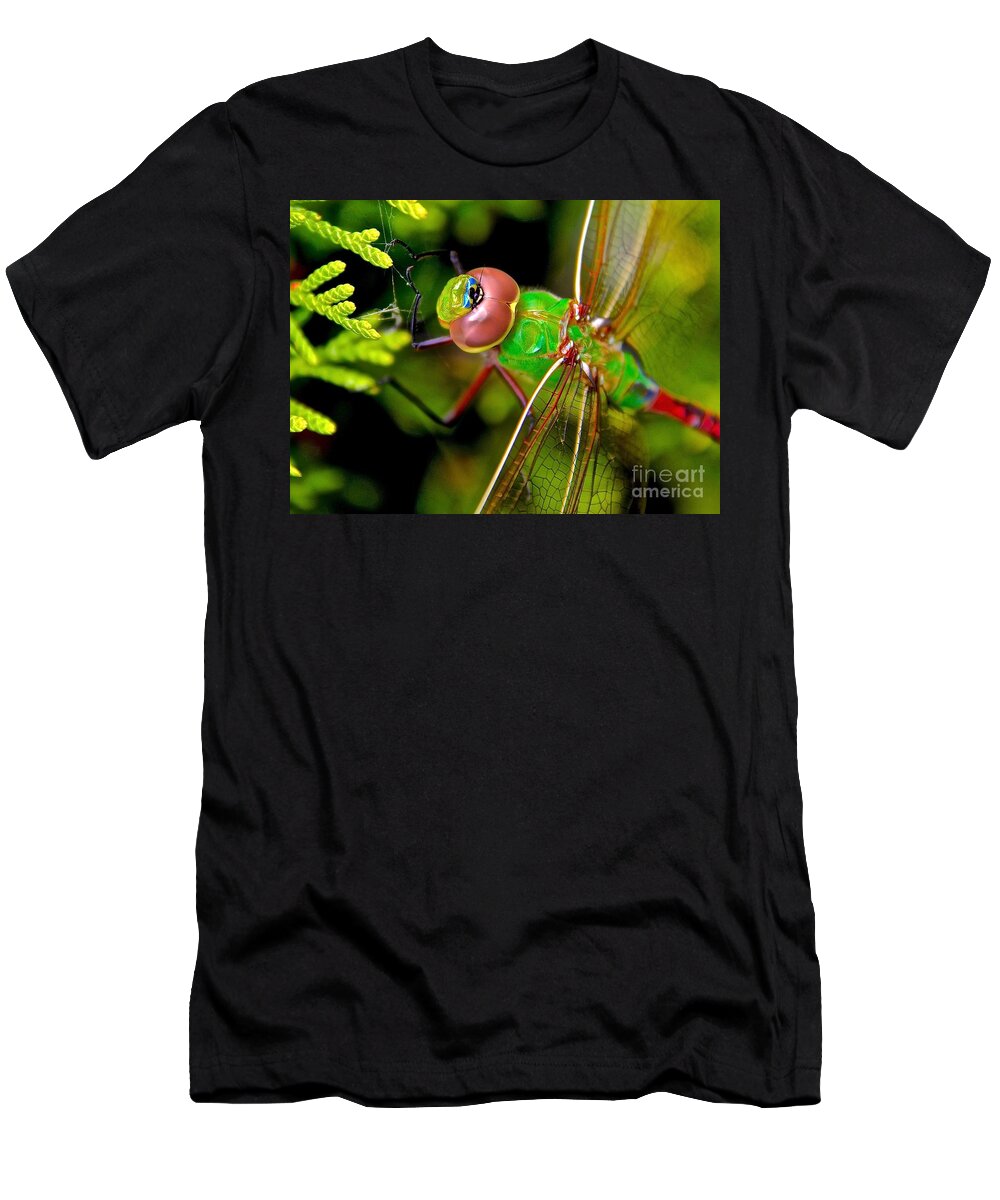 Common Green Draner T-Shirt featuring the photograph Common green draner #6 by Elisabeth Derichs